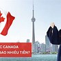 Du Học Canada Bậc Thạc Sĩ Tại Canada Được Không 2024 Mới Nhất