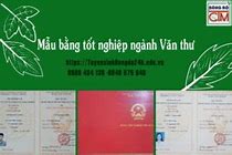 Học Văn Thư Ở Đâu