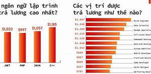 Mức Lương Trung Bình Các Ngành