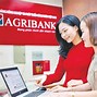 Vay Tín Chấp 100 Triệu Agribank